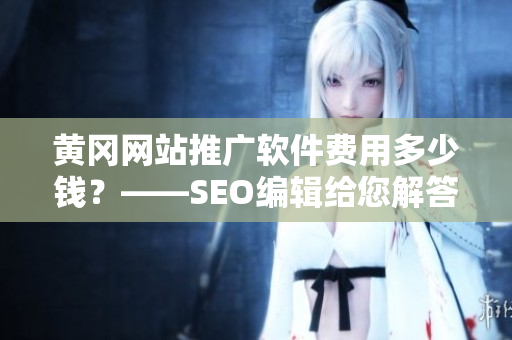 黄冈网站推广软件费用多少钱？——SEO编辑给您解答