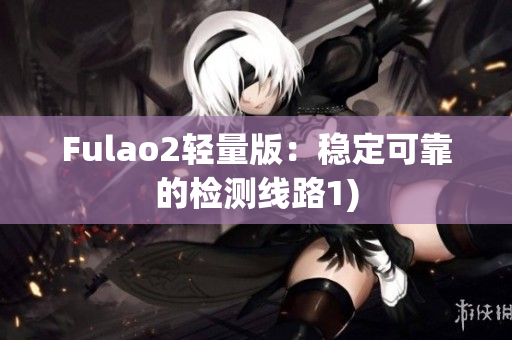 Fulao2轻量版：稳定可靠的检测线路1)