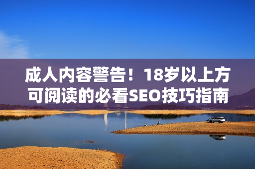 成人内容警告！18岁以上方可阅读的必看SEO技巧指南