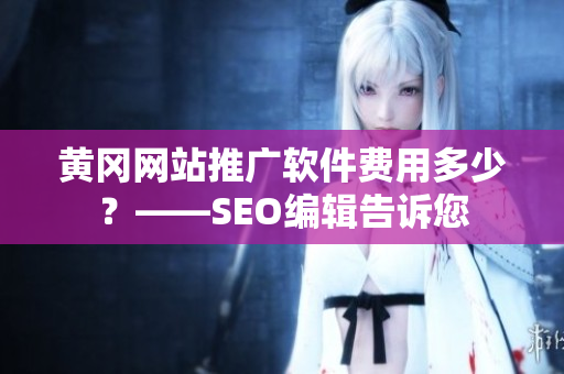 黄冈网站推广软件费用多少？——SEO编辑告诉您