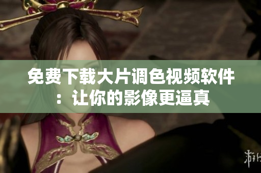 免费下载大片调色视频软件：让你的影像更逼真