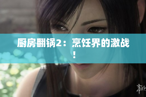 厨房翻锅2：烹饪界的激战！