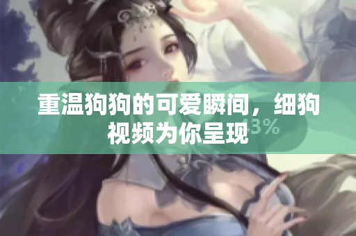 重温狗狗的可爱瞬间，细狗视频为你呈现