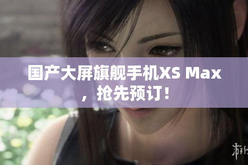 国产大屏旗舰手机XS Max，抢先预订！