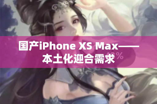 国产iPhone XS Max——本土化迎合需求