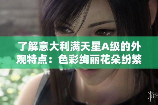 了解意大利满天星A级的外观特点：色彩绚丽花朵纷繁