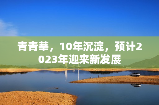 青青莘，10年沉淀，预计2023年迎来新发展