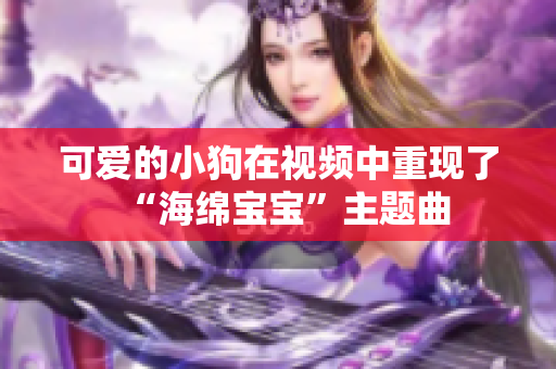 可爱的小狗在视频中重现了“海绵宝宝”主题曲