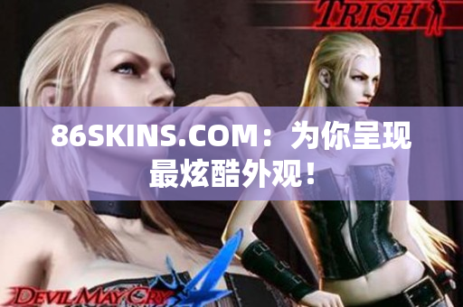86SKINS.COM：为你呈现最炫酷外观！