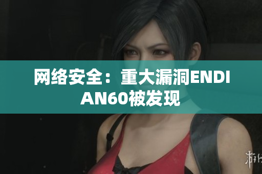 网络安全：重大漏洞ENDIAN60被发现