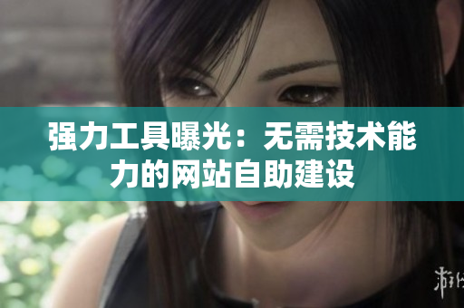 强力工具曝光：无需技术能力的网站自助建设