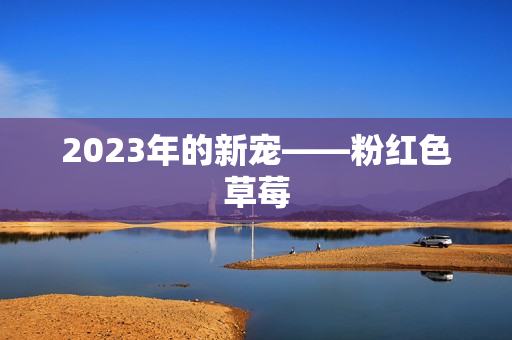 2023年的新宠——粉红色草莓