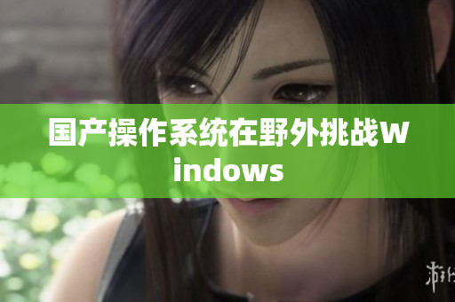 国产操作系统在野外挑战Windows