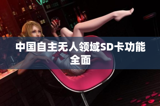 中国自主无人领域SD卡功能全面