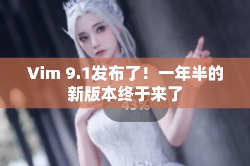 Vim 9.1发布了！一年半的新版本终于来了