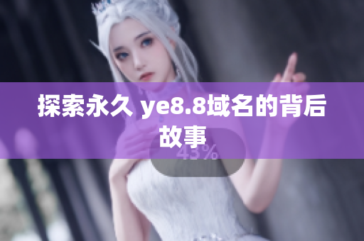 探索永久 ye8.8域名的背后故事