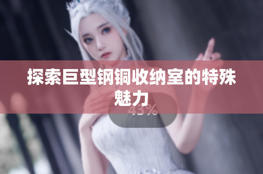 探索巨型钢铜收纳室的特殊魅力