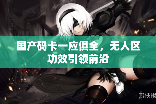 国产码卡一应俱全，无人区功效引领前沿