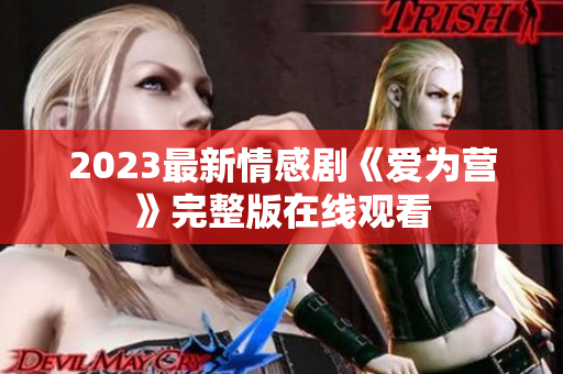 2023最新情感剧《爱为营》完整版在线观看
