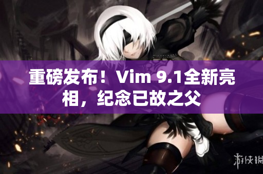 重磅发布！Vim 9.1全新亮相，纪念已故之父