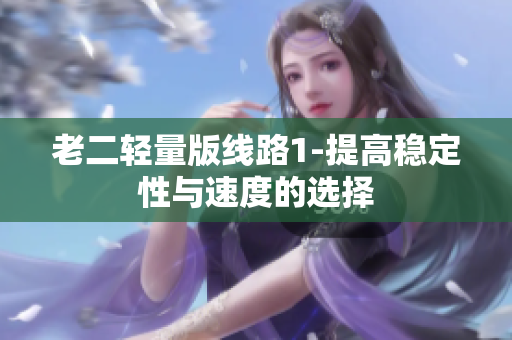 老二轻量版线路1-提高稳定性与速度的选择