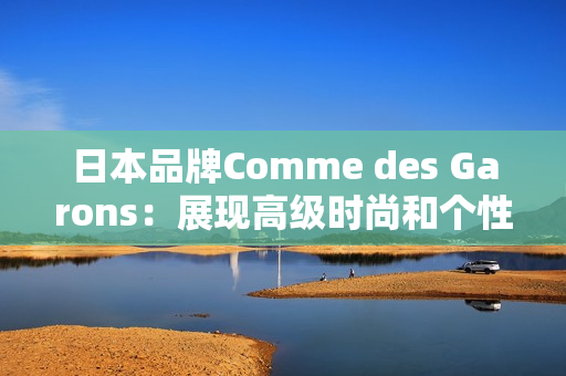 日本品牌Comme des Garons：展现高级时尚和个性魅力