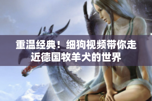 重温经典！细狗视频带你走近德国牧羊犬的世界