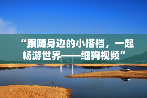 “跟随身边的小搭档，一起畅游世界——细狗视频”