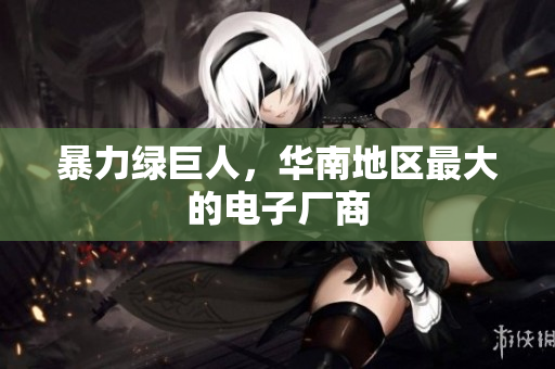 暴力绿巨人，华南地区最大的电子厂商