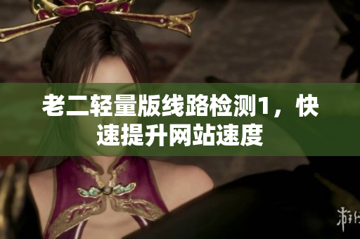 老二轻量版线路检测1，快速提升网站速度