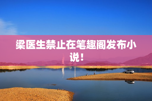 梁医生禁止在笔趣阁发布小说！