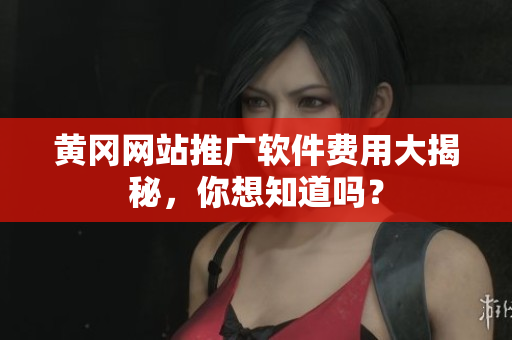 黄冈网站推广软件费用大揭秘，你想知道吗？