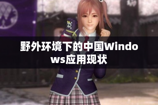 野外环境下的中国Windows应用现状