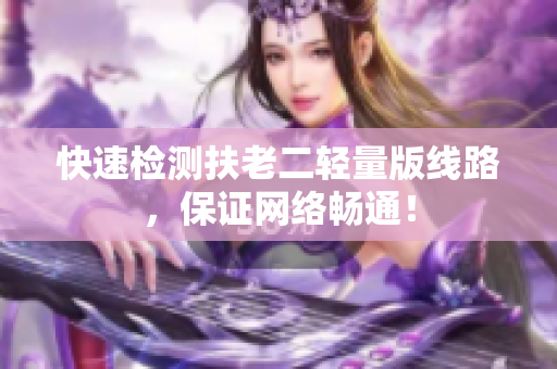 快速检测扶老二轻量版线路，保证网络畅通！