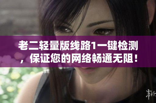 老二轻量版线路1一键检测，保证您的网络畅通无阻！
