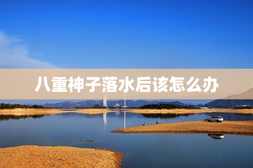 八重神子落水后该怎么办