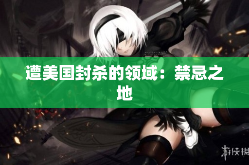 遭美国封杀的领域：禁忌之地
