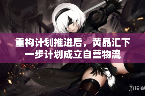 重构计划推进后，黄品汇下一步计划成立自营物流