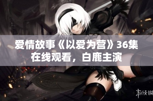 爱情故事《以爱为营》36集在线观看，白鹿主演