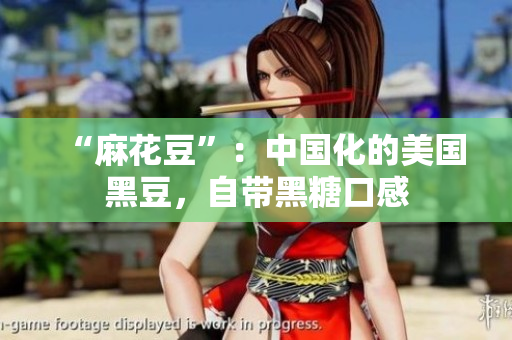 “麻花豆”：中国化的美国黑豆，自带黑糖口感