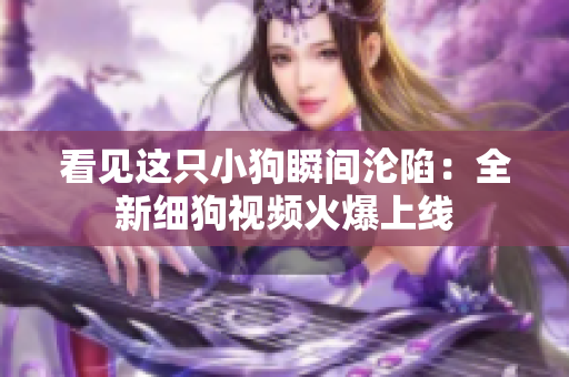 看见这只小狗瞬间沦陷：全新细狗视频火爆上线