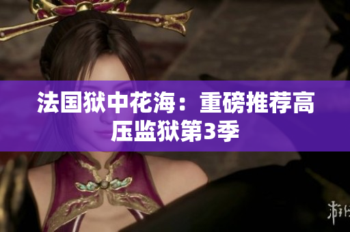 法国狱中花海：重磅推荐高压监狱第3季