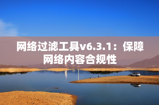 网络过滤工具v6.3.1：保障网络内容合规性