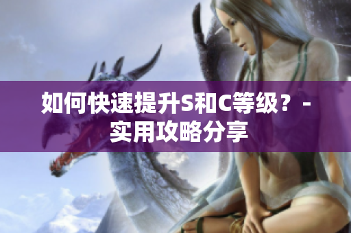 如何快速提升S和C等级？- 实用攻略分享