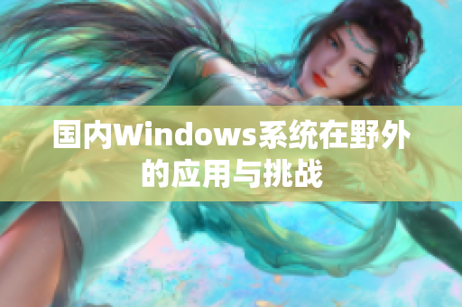 国内Windows系统在野外的应用与挑战