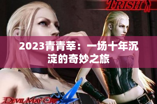 2023青青莘：一场十年沉淀的奇妙之旅