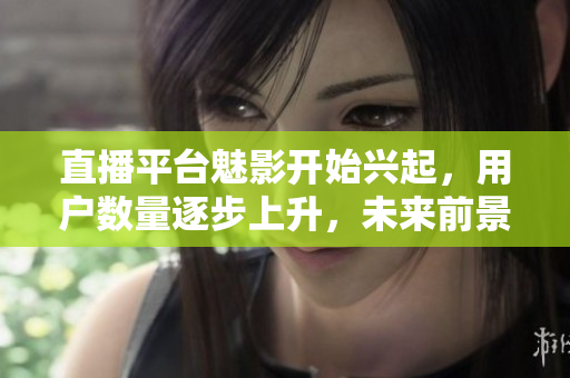 直播平台魅影开始兴起，用户数量逐步上升，未来前景可期