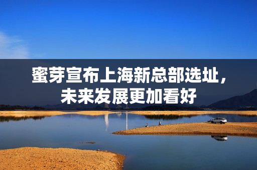 蜜芽宣布上海新总部选址，未来发展更加看好