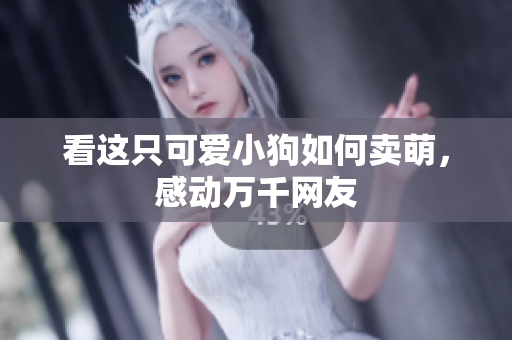 看这只可爱小狗如何卖萌，感动万千网友