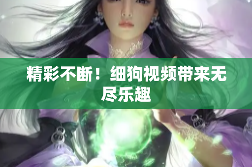精彩不断！细狗视频带来无尽乐趣